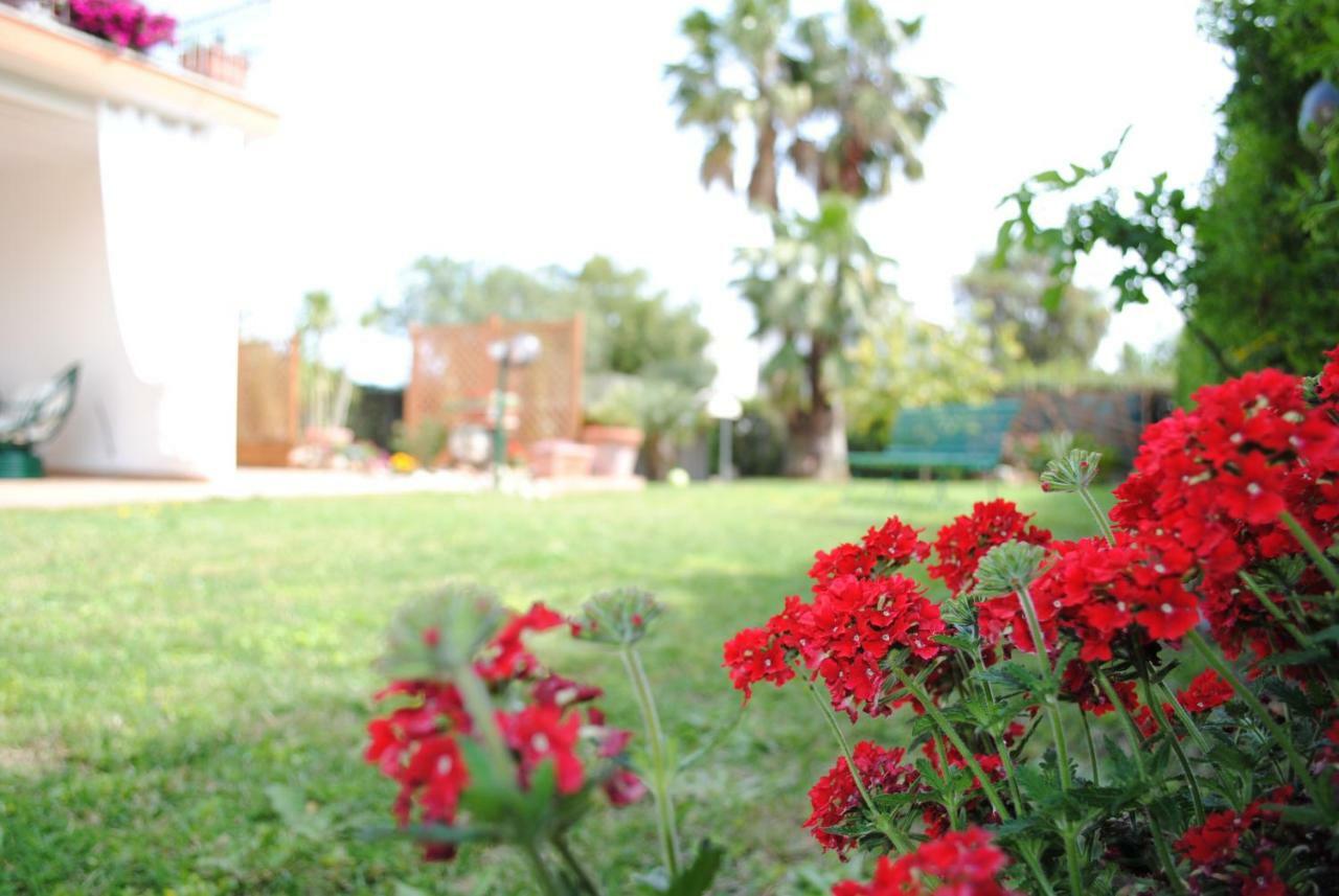 Villa Regina B&B Nettuno Exteriér fotografie